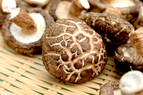 Dried Mushrooms Category Image